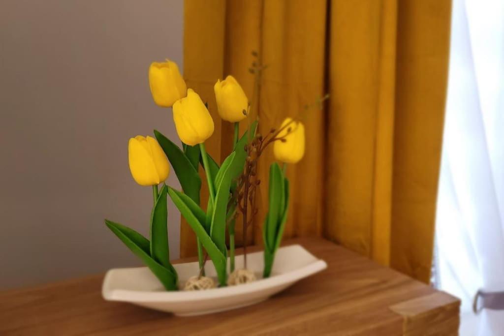 Cozy Modern Apartment Sunrise Studio 35M2 Balcony 3 Persons 克拉科夫 外观 照片